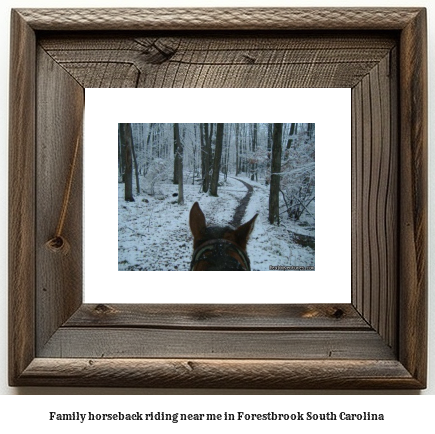 family horseback riding near me in Forestbrook, South Carolina